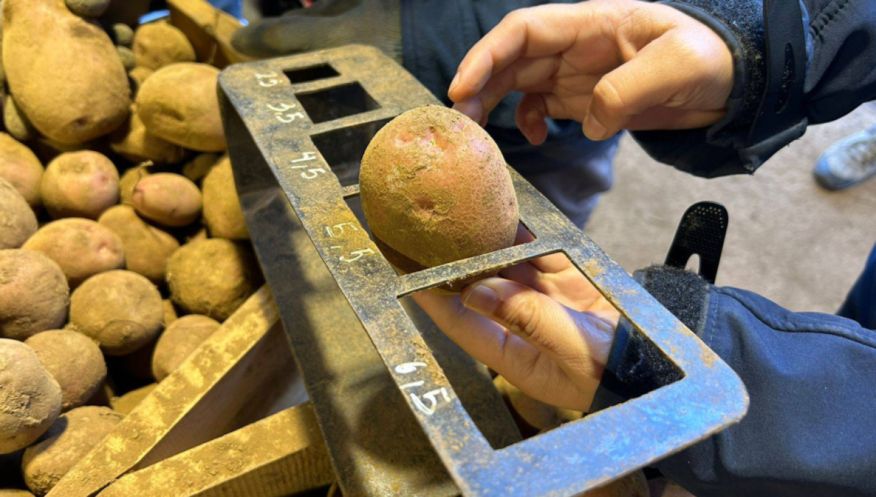 /autoridades-visitan-productor-local-y-promueven-medidas-de-proteccion