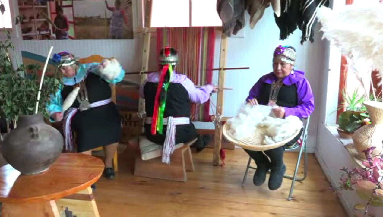 /iii-encuentro-mentes-creativas-emprendedoras-del-territorio-arauco-2025