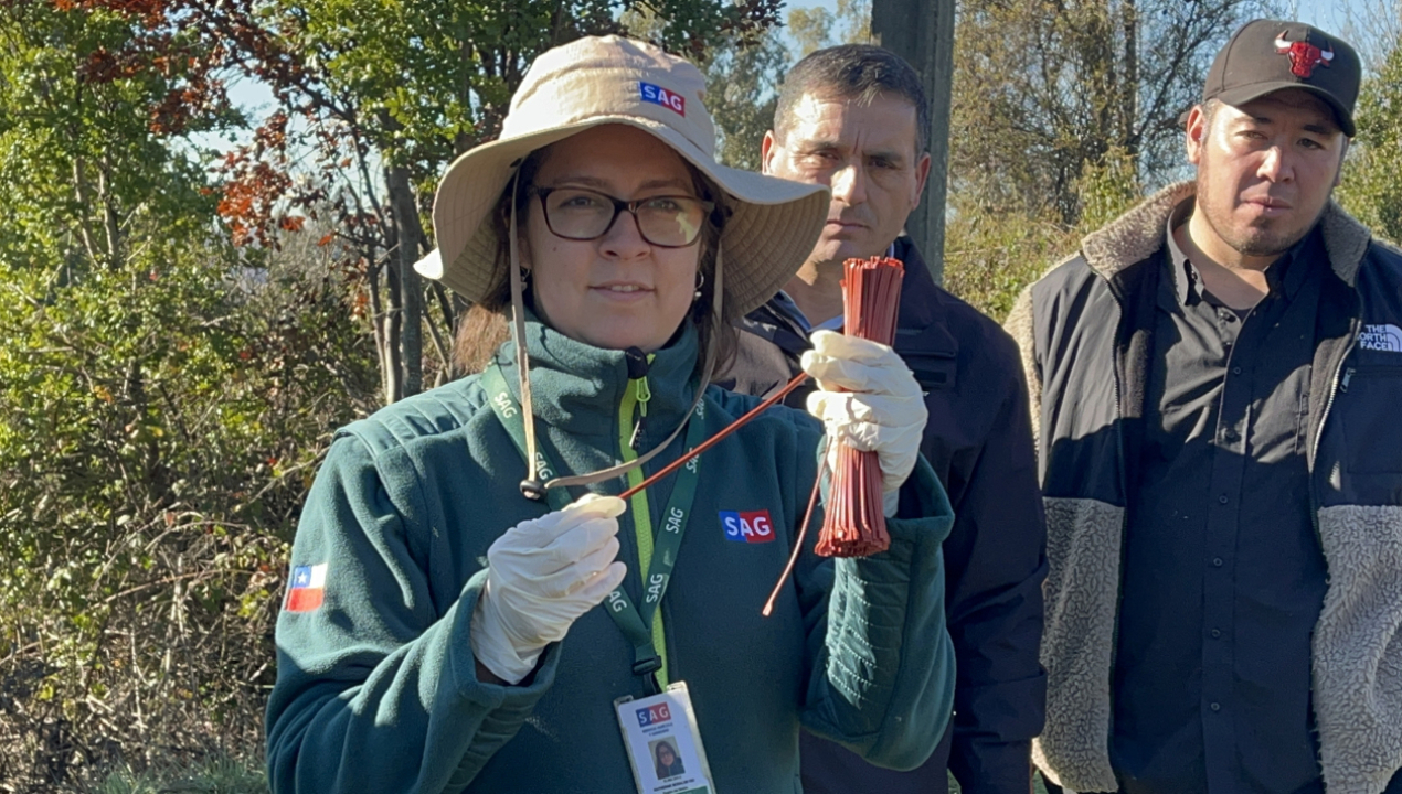 /esta-manana-en-nacimiento-sag-biobio-comenzo-entrega-de-emisores-de