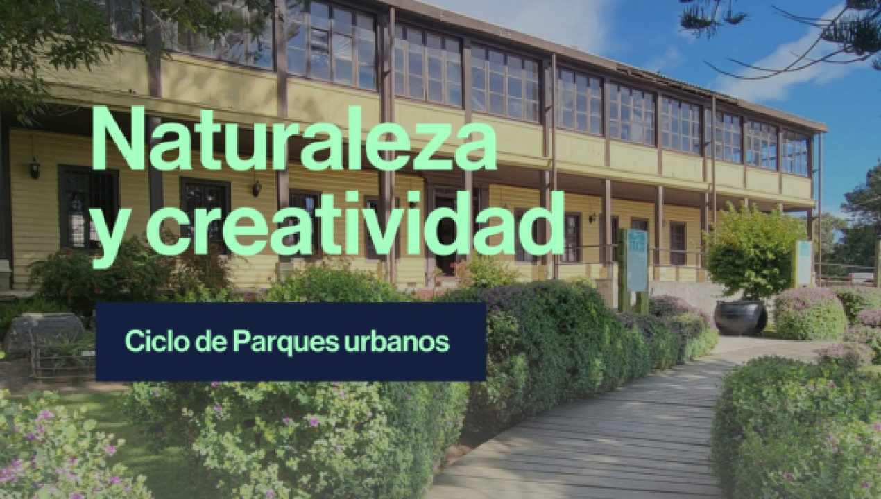 /biobio-en-100-palabras-invita-a-maravillarse-con-los-pulmones-verdes-de-la