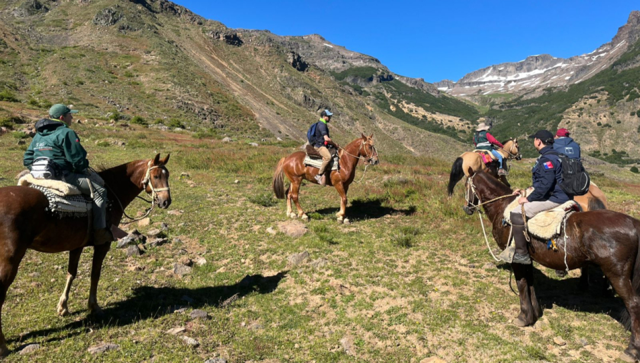 /autoridades-aseguran-control-riguroso-de-animales-en-la-cordillera