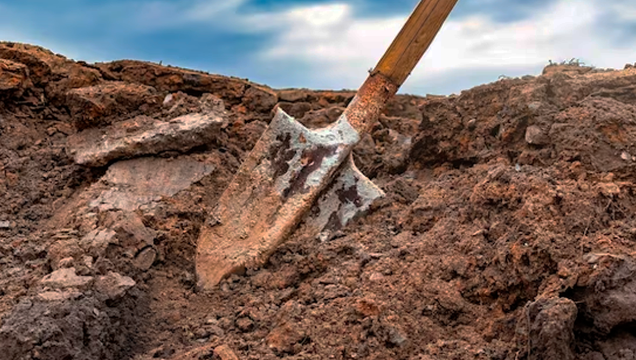 /regionales/region-de-los-lagos/mujer-encontro-osamentas-humanas-mientras-cavaba-hoyo-para-enterrar-a-su