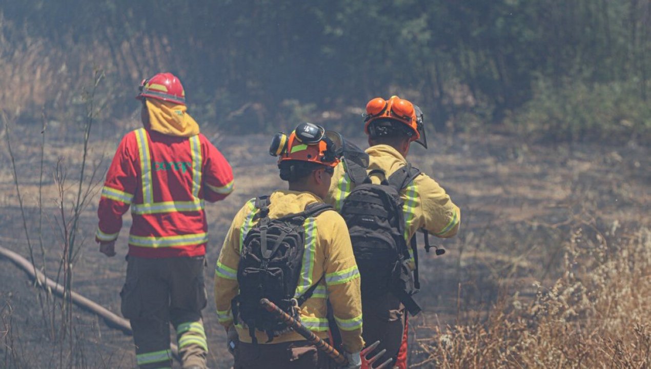 /regionales/region-de-ohiggins/alerta-amarilla-en-comuna-de-la-estrella-por-incendio-forestal