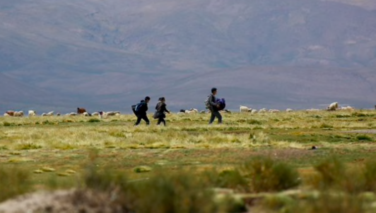 /actualidad/relaciones-exteriores/crisis-migratoria/desde-la-oposicion-solicitan-cierre-de-frontera-norte-ante-potencial-ola