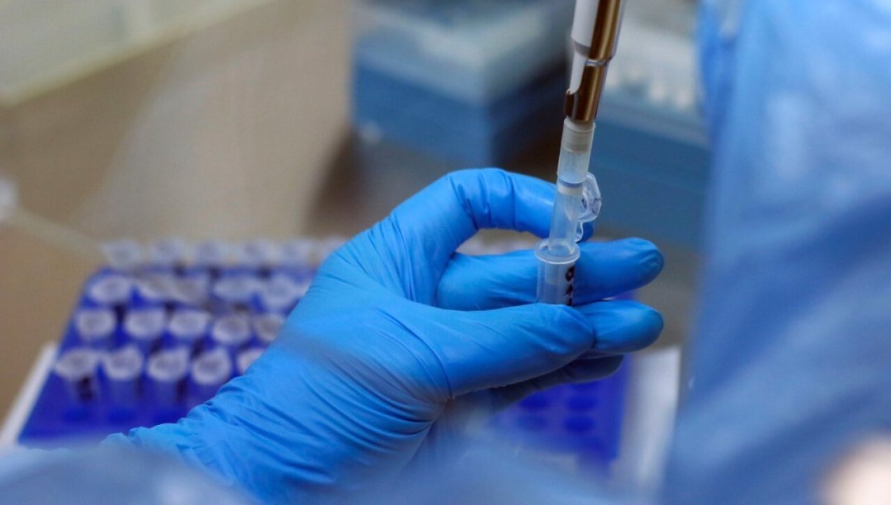 /tendencias/salud/estudio-revelo-altas-concentraciones-de-microplasticos-en-placentas