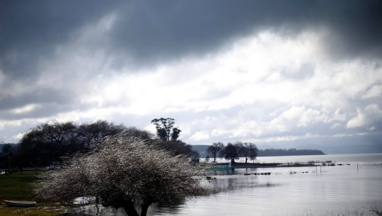 /regionales/region-de-la-araucania/victoria-palma-padre-solicito-uso-de-sonar-para-su-busqueda-en-lago