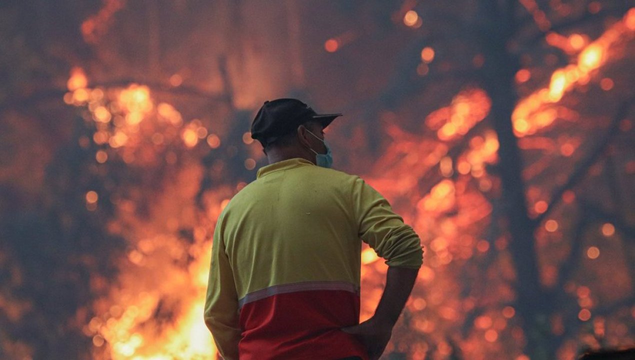 /actualidad/desastres-naturales/incendios-forestales/continuan-los-incendios-forestales-en-la-zona-centro-sur-ya-van-mas-de-15