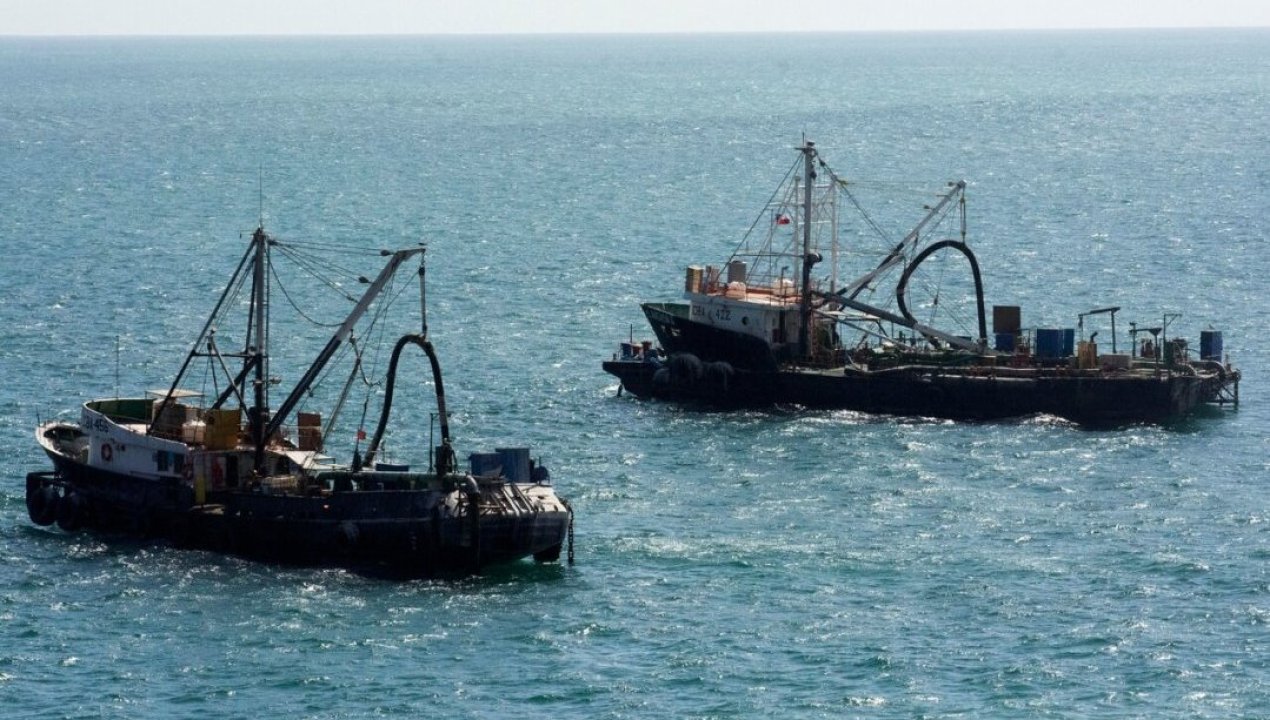 /actualidad/preocupacion-en-el-norte-detectan-masiva-presencia-de-barcos-chinos-cerca