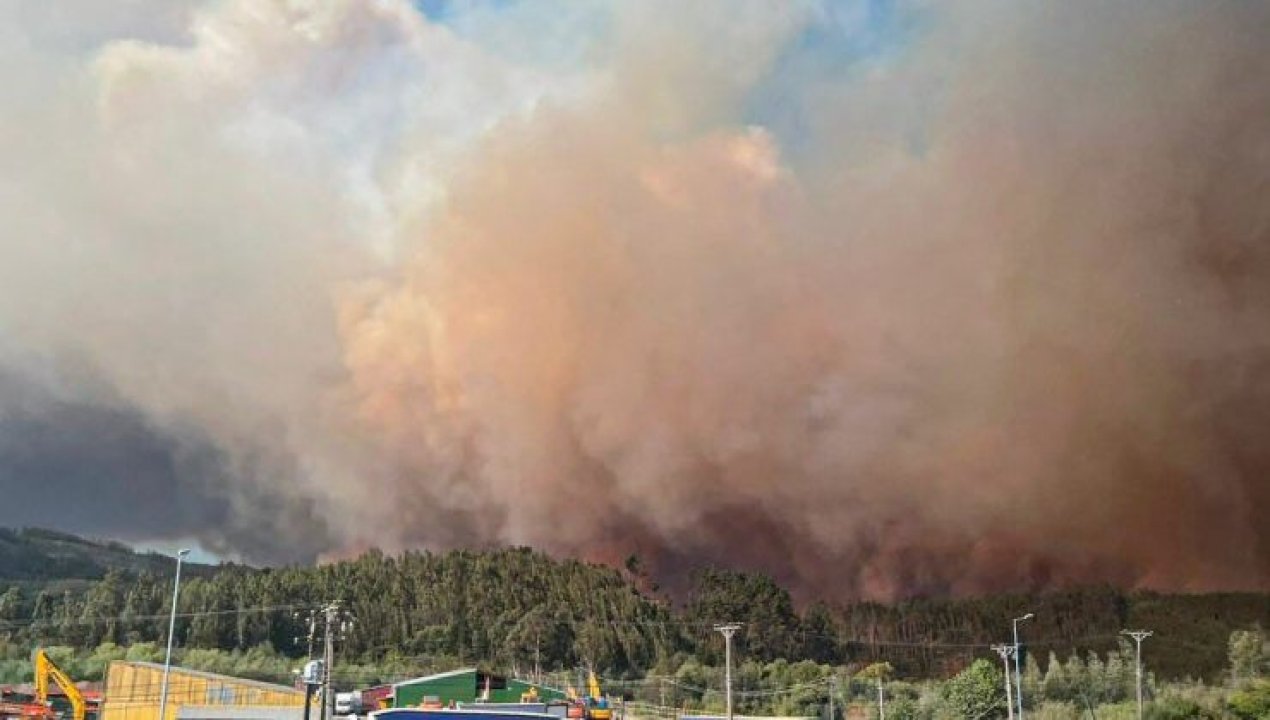 /actualidad/conaf-eleva-a-mas-de-5-mil-hectareas-la-superficie-afectada-por-incendios