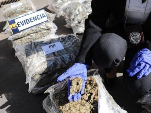 PDI incauta más de 1,7 toneladas de cannabis tras fiscalización en Atacama