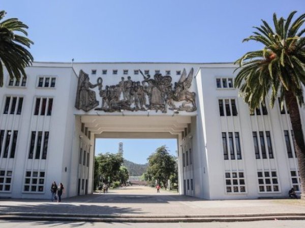 UdeC regalará árboles nativos en nueva jornada abierta a la comunidad