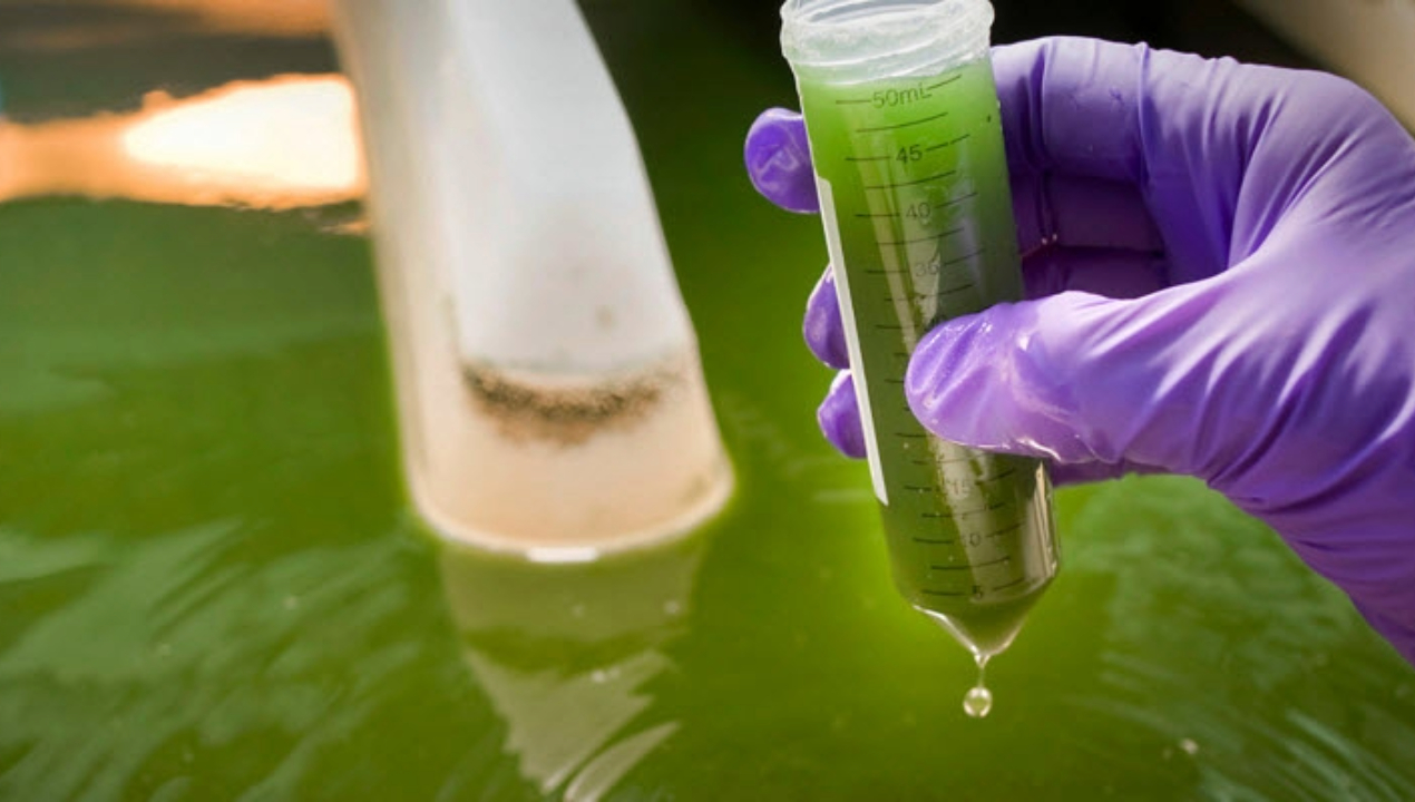 /ua/centro-de-bioinnovacion-de-la-ua-finalizo-con-exito-proyectos-de